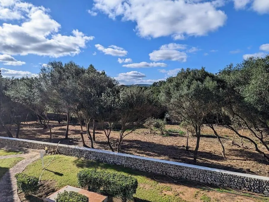 Appartamento Bella Brisa, Port D'Addaia Spagna